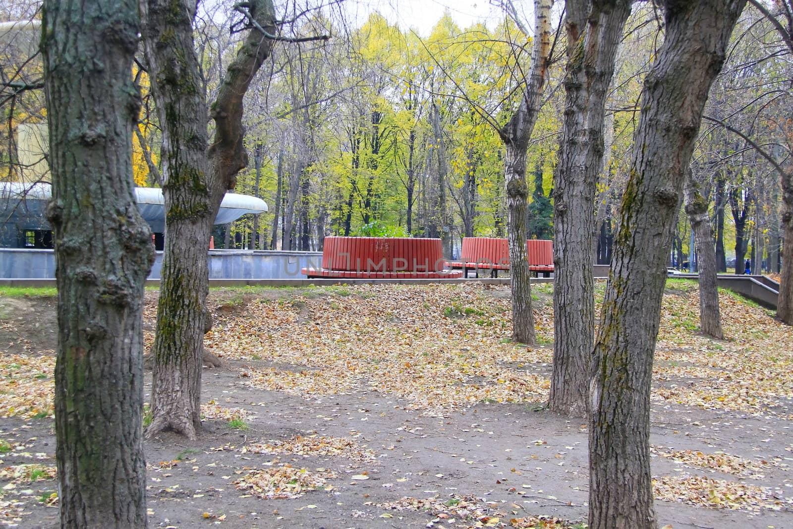 late autumn in the city of Moscow park, outdoor recreation