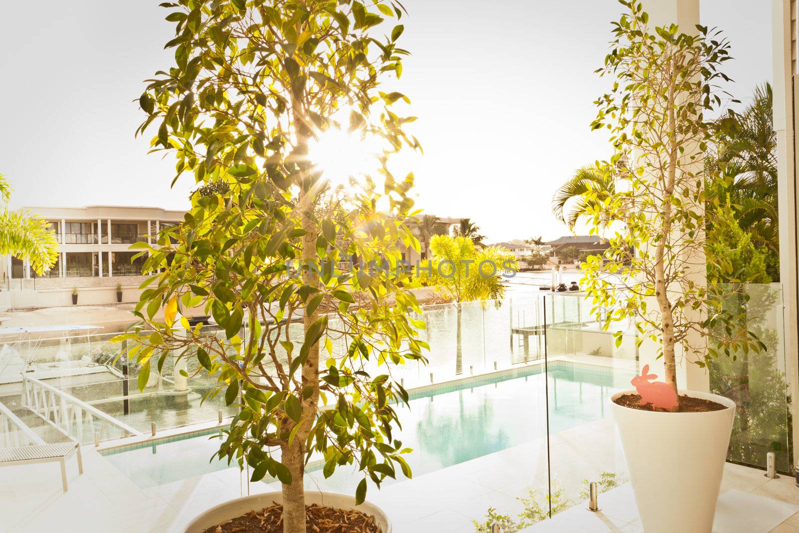 Photograph of swimming pool and modern garden.