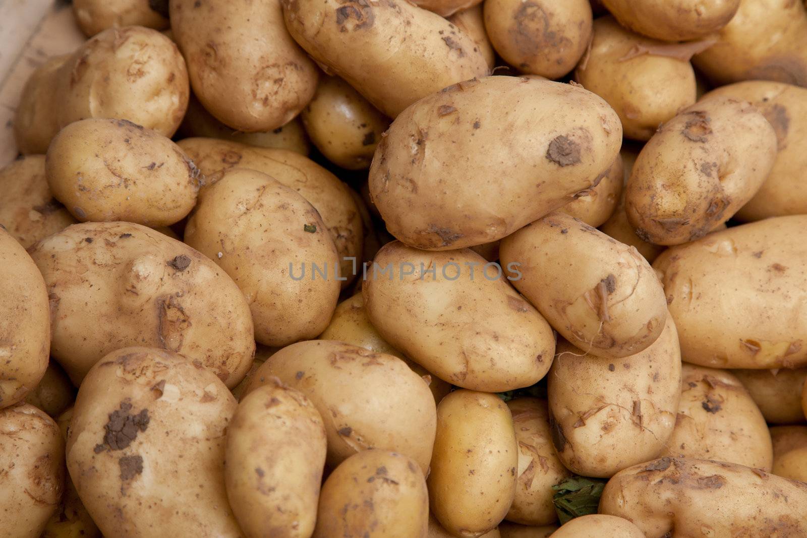 Potatoes background texture.