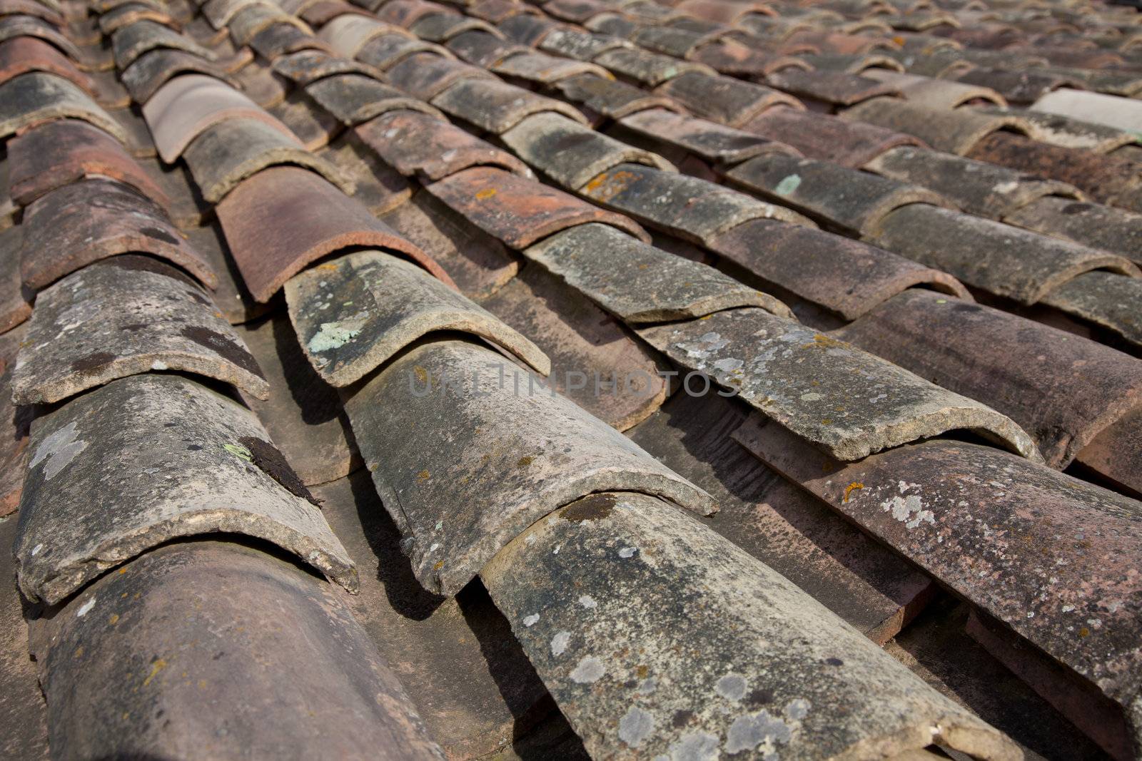 Roofing tiles by kaarsten