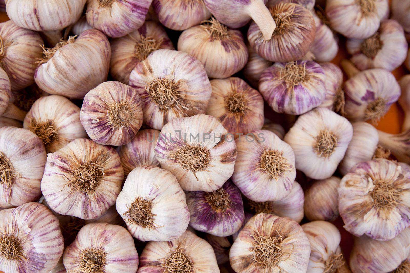 Fresh garlic on provencal market stall.