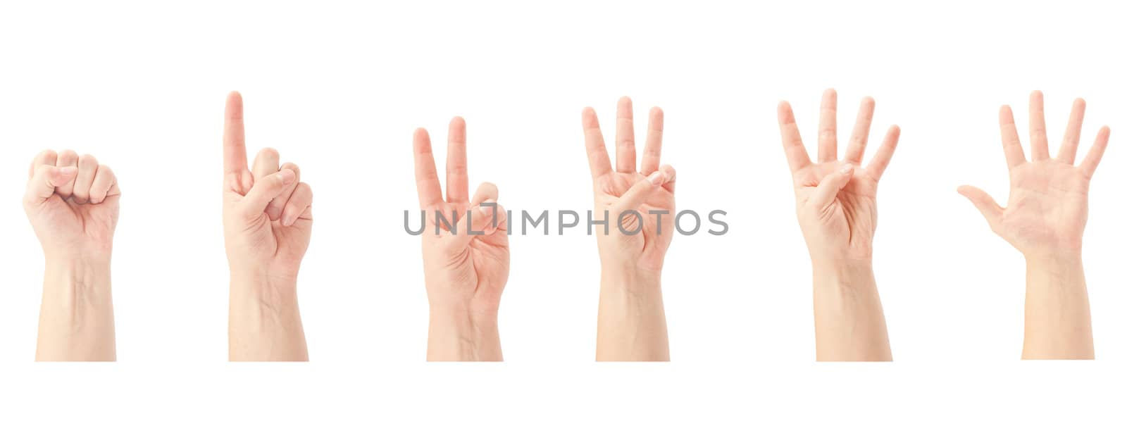 Counting man hands (0 to 5) isolated on white background