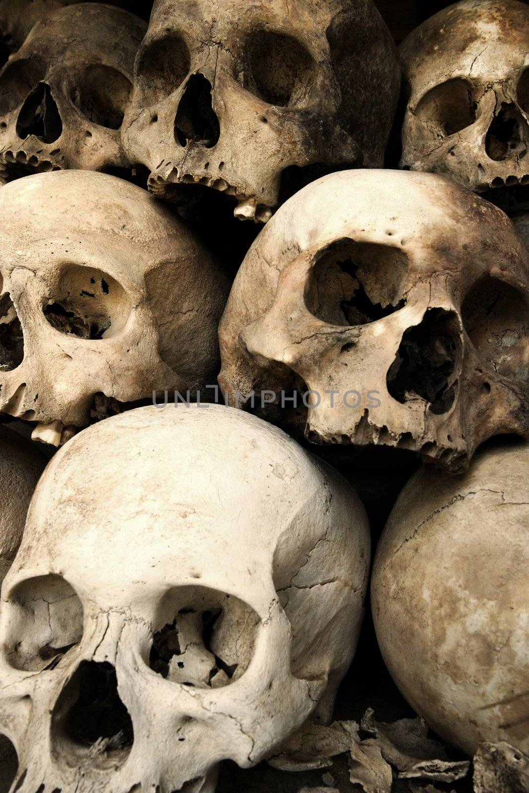 Photo of a pile of skulls from the Killing Fields in Phnom Penh, Cambodia.