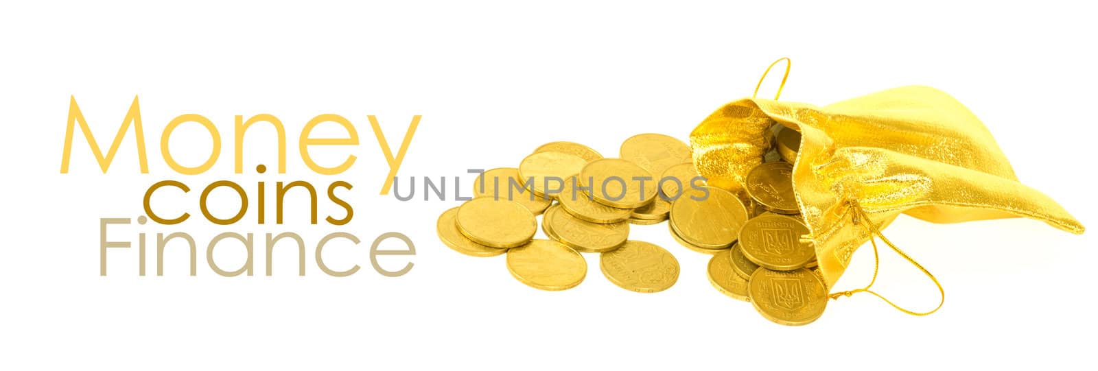 Money coins in golden bag isolated on white