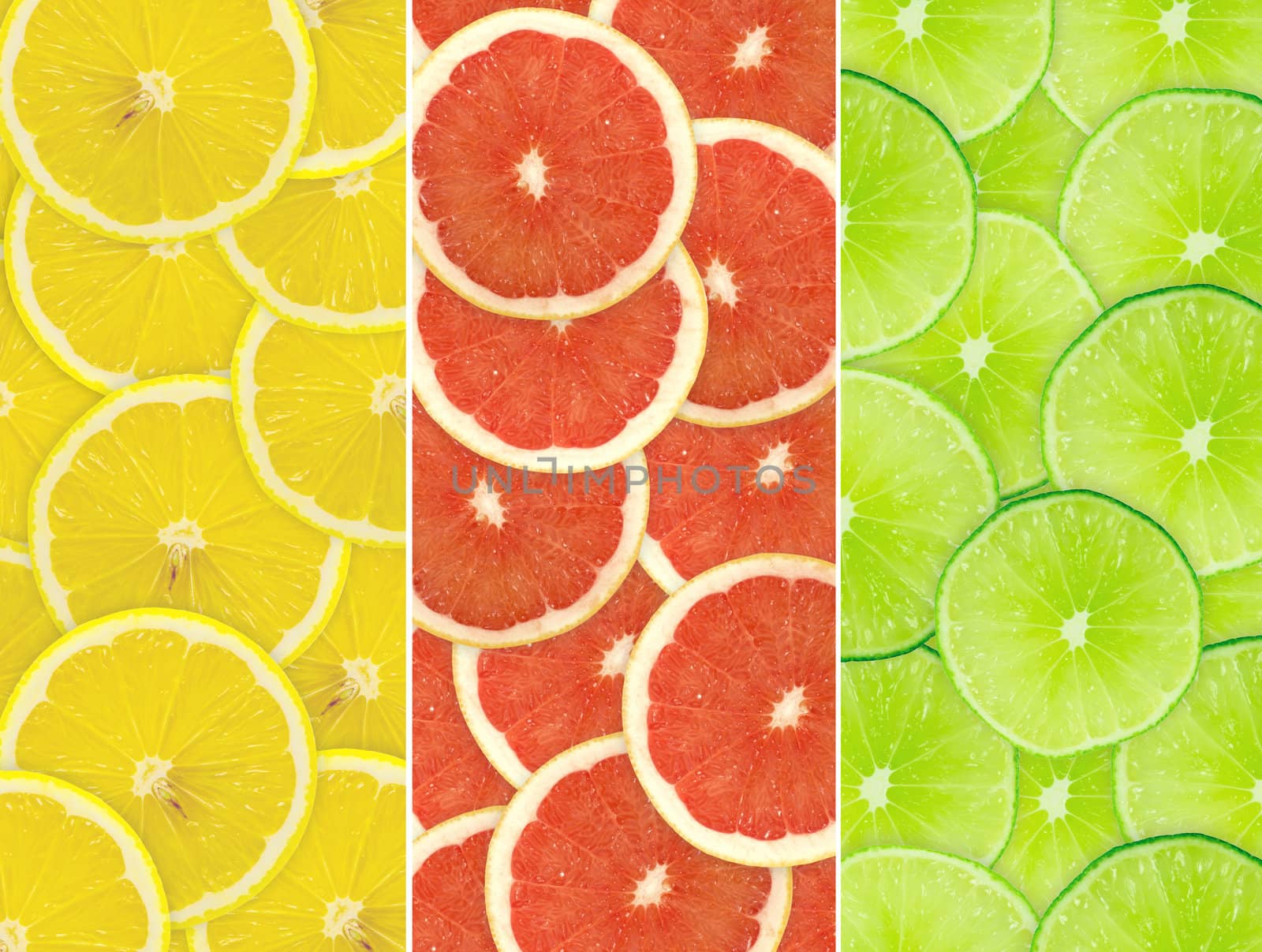 Abstract background of citrus slices. Closeup. Studio photography.