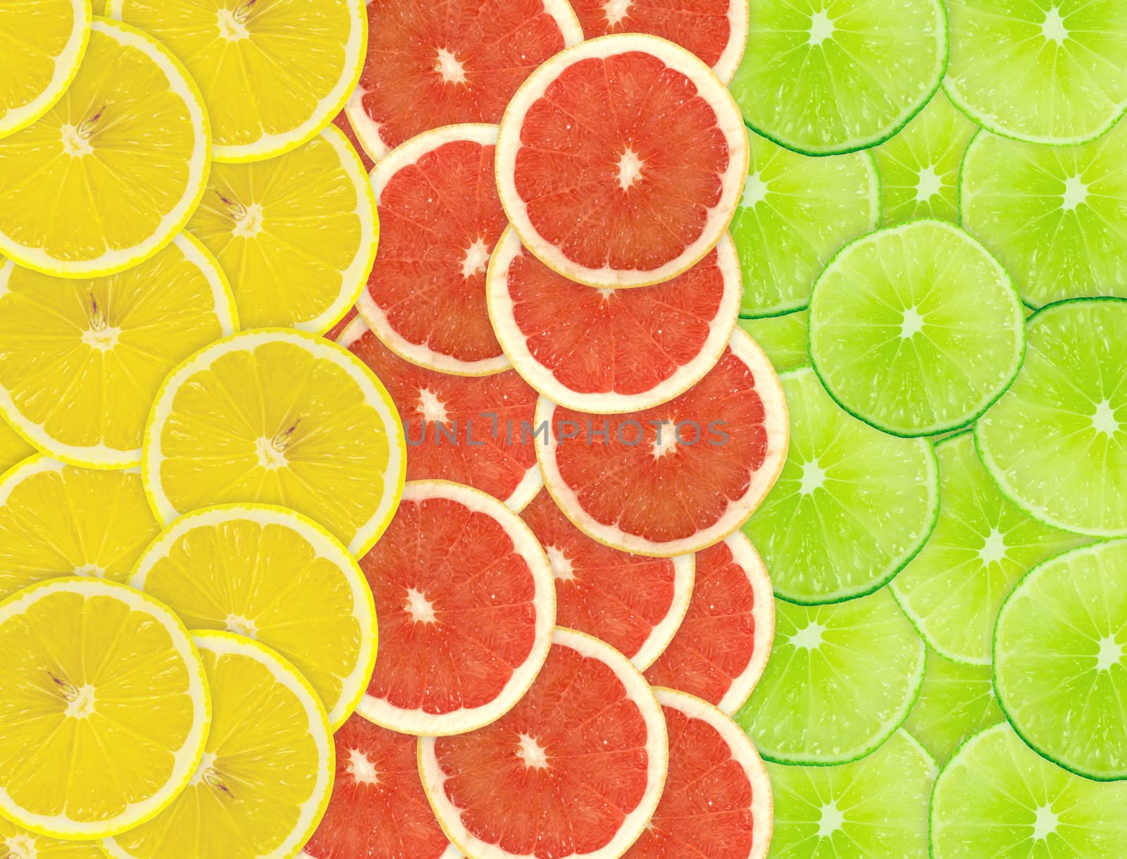 Abstract background of citrus slices. Closeup. Studio photography.