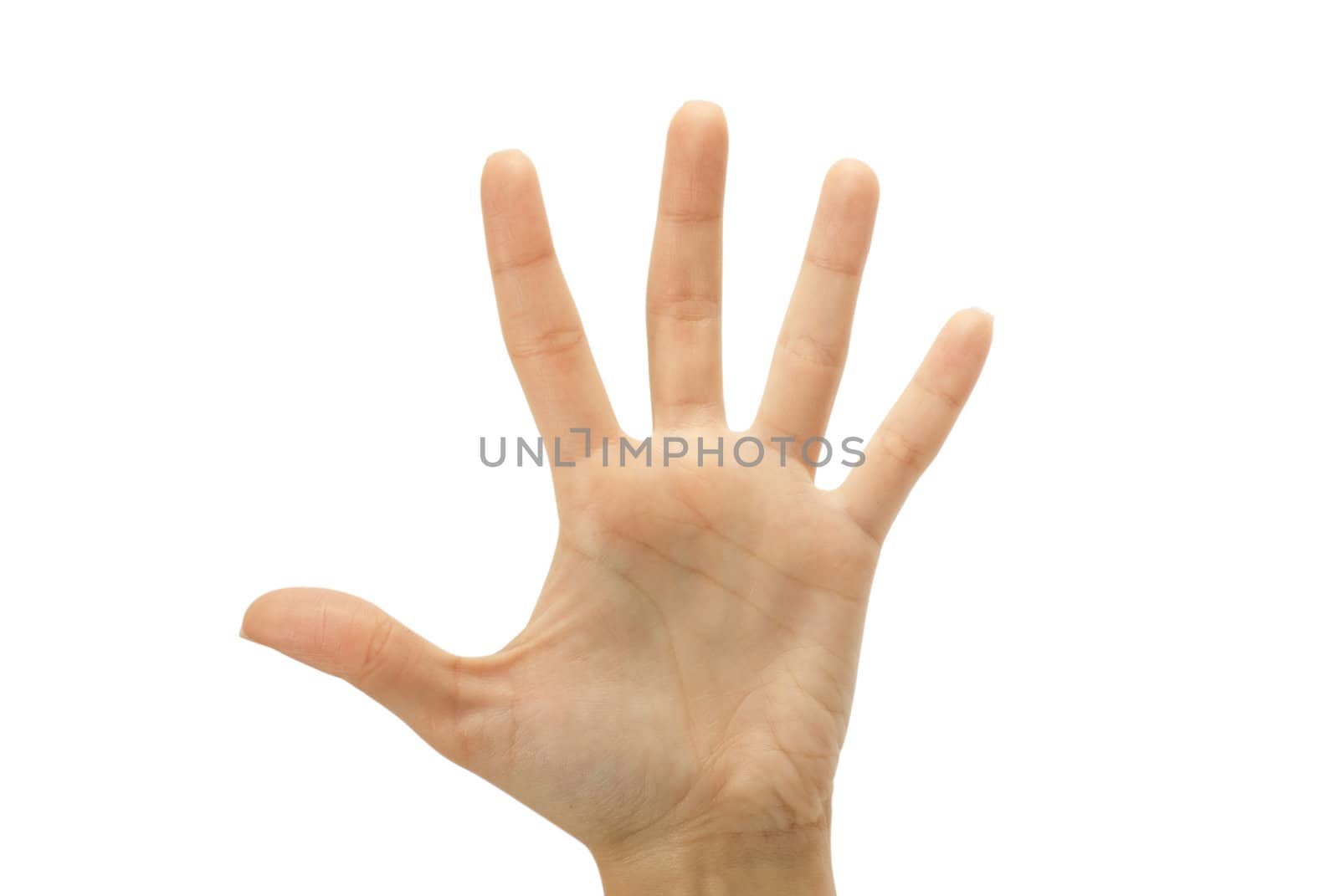 hand gestures isolated on a white