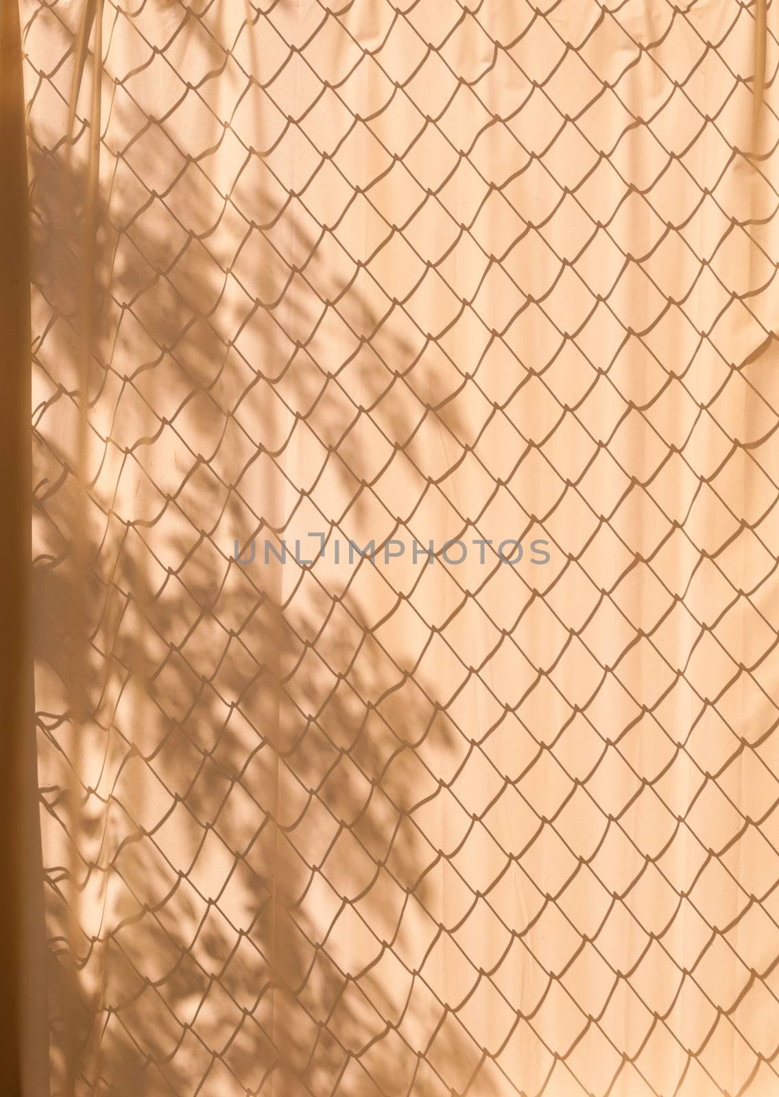 Shaow of leaf and Steel cage on old Blinds by moggara12