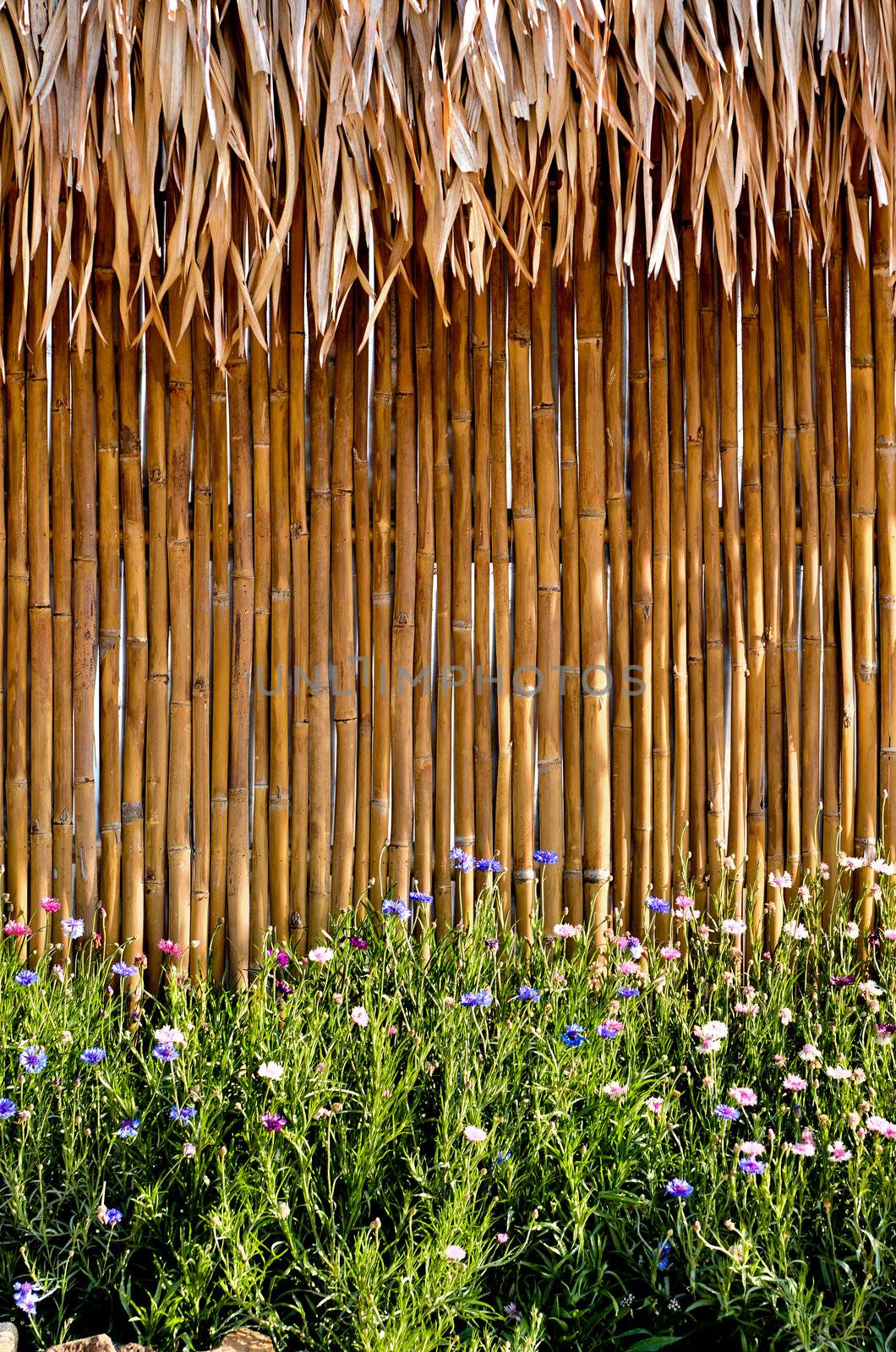 bamboo fence with beautiful flower