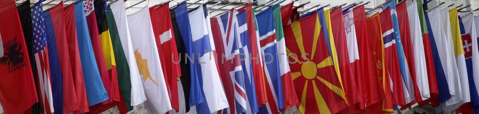 International flags at the Hofburg in Vienna