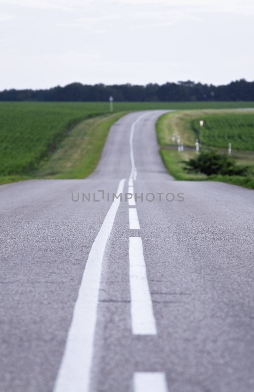 empty country road and green fields by Serp