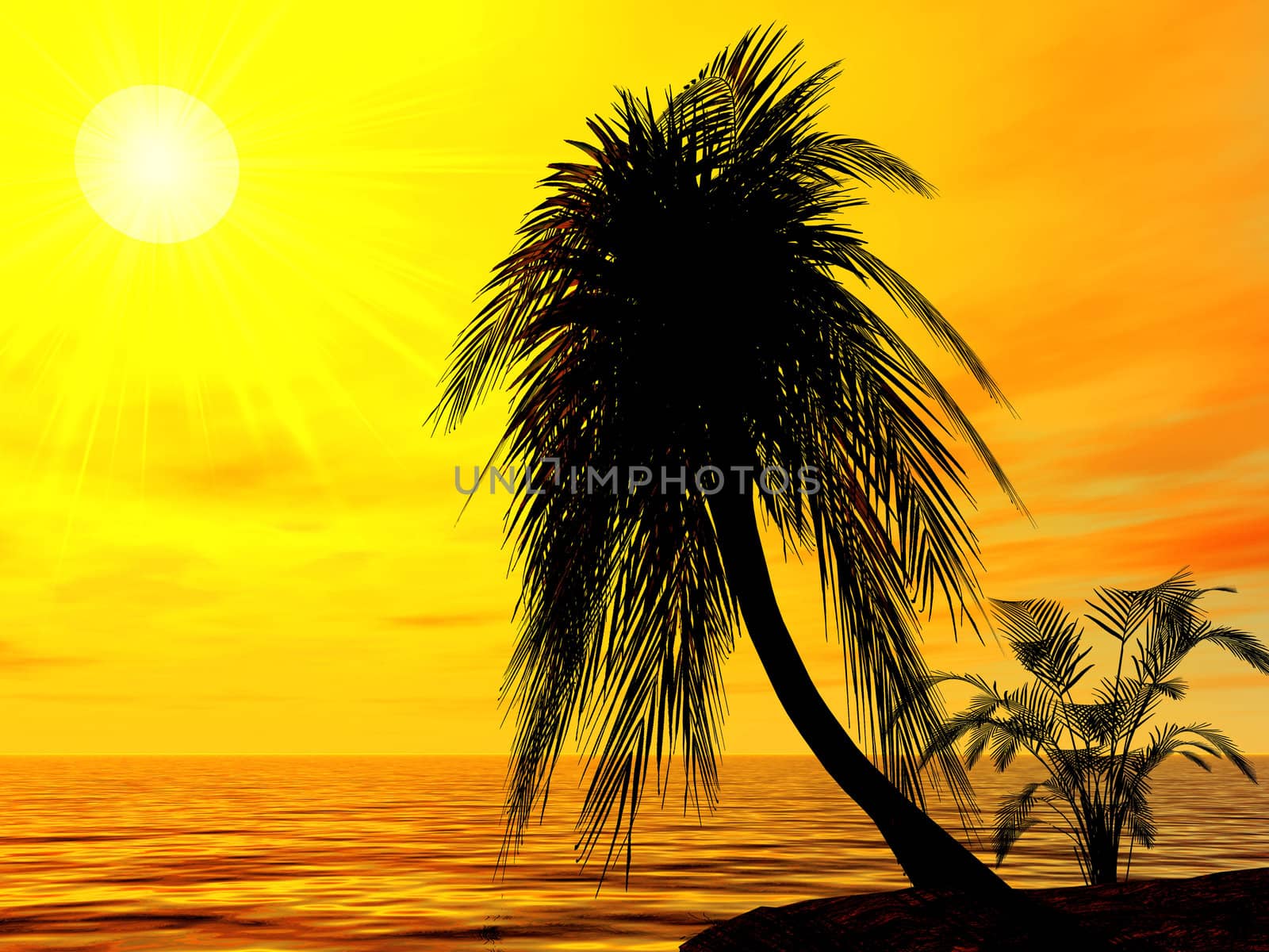 single palm on the uninhabited island on a brightly sunset