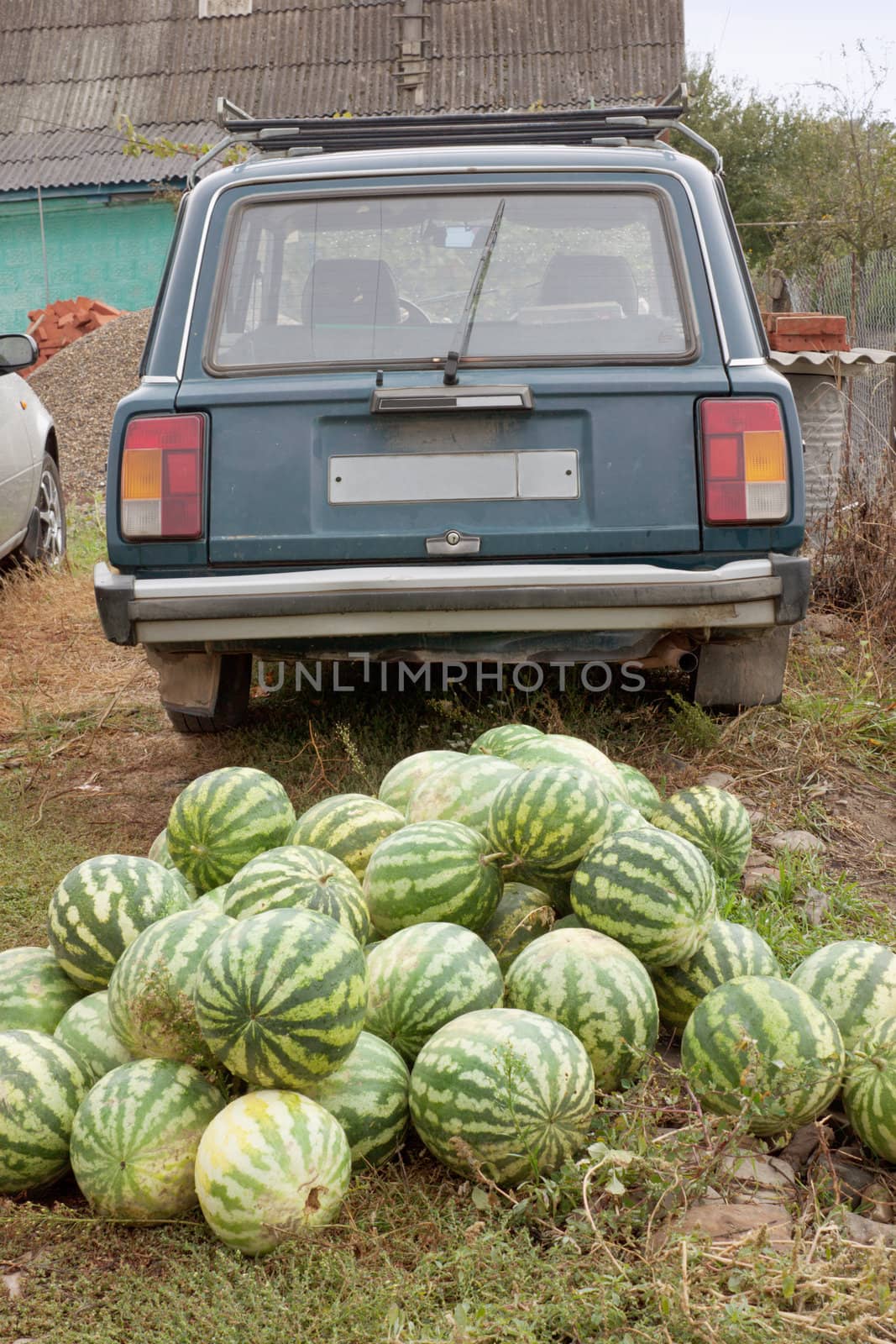 Heap of watermelons and the car of the farmer