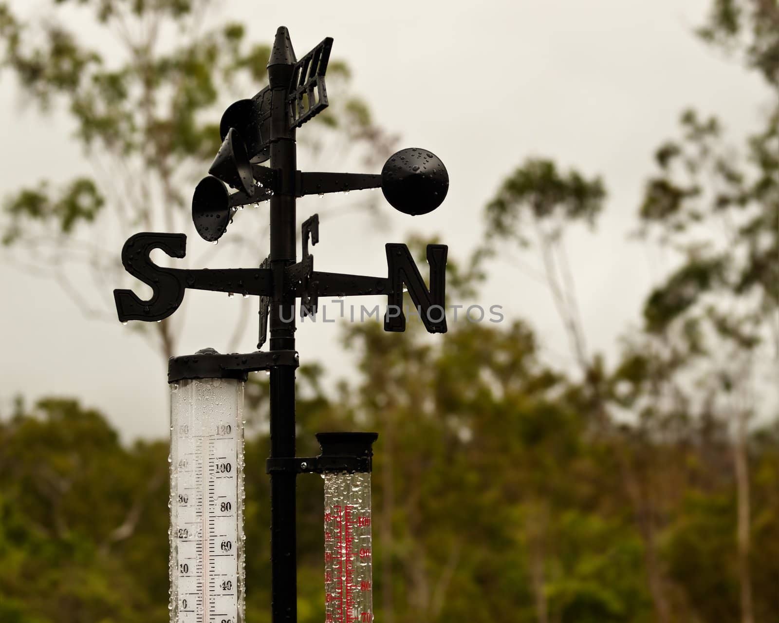 Weather Station wind vane temperature and rain gauge