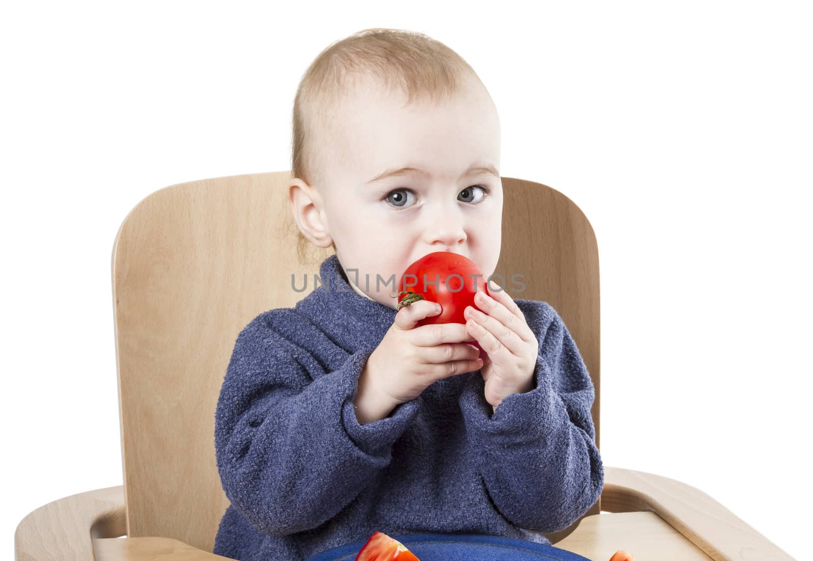 young child eating tomatoes in high chair isolated in white backgound
