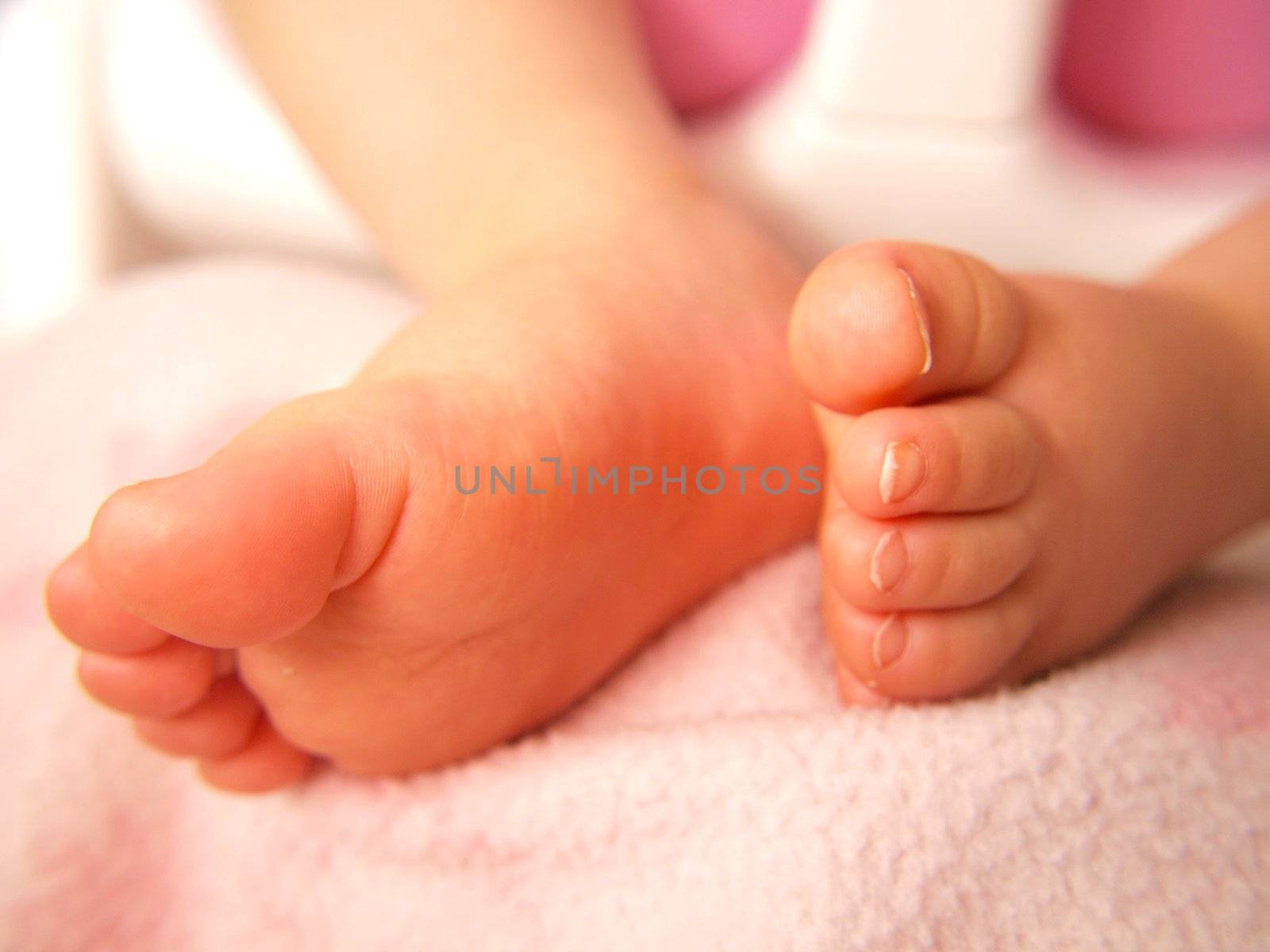 Closeup of baby feet, isolated towards pink by Arvebettum