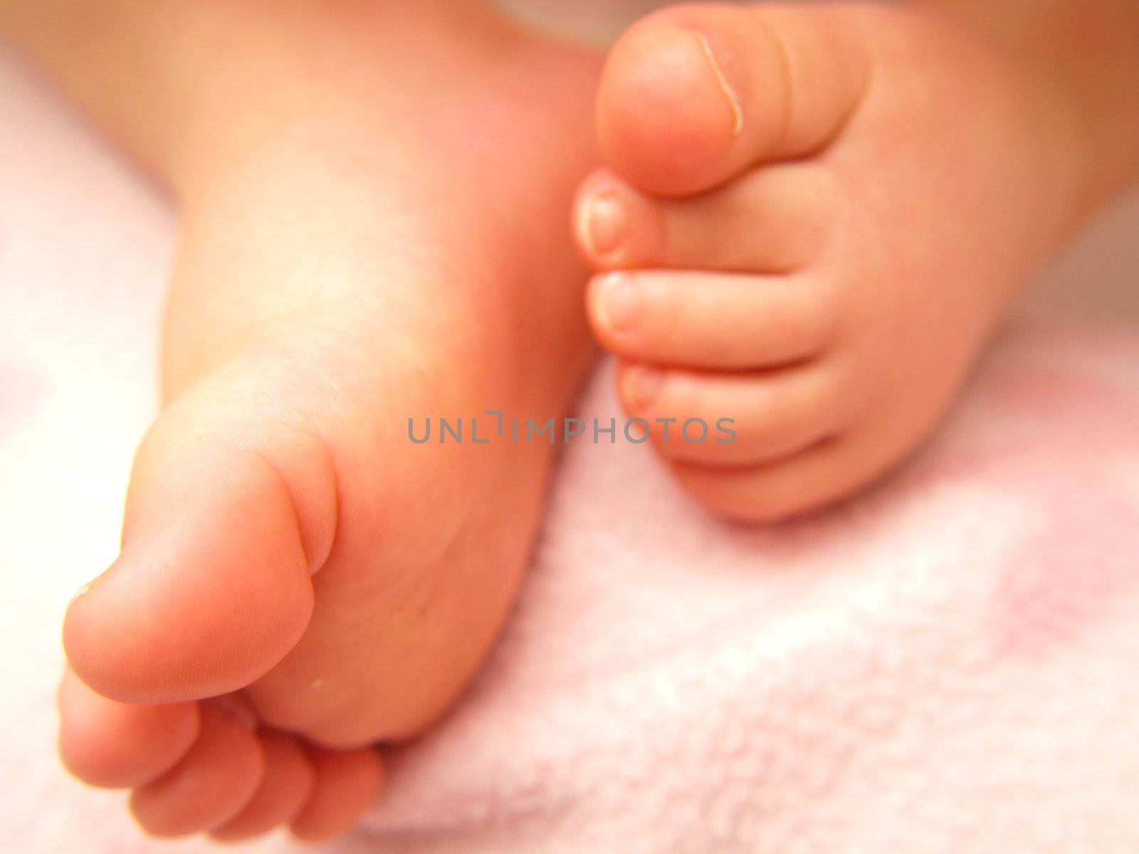 Closeup of baby feet, isolated towards pink by Arvebettum