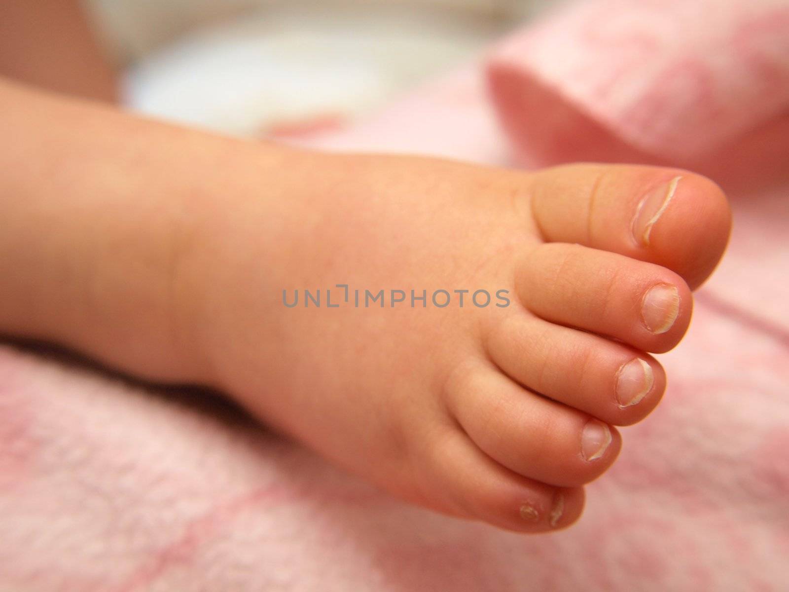 Closeup of baby feet, isolated towards pink