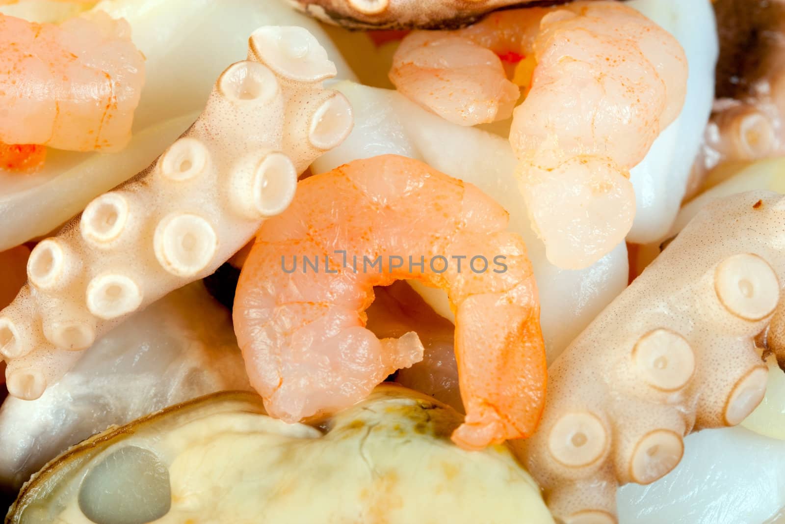 seafood salad background prawn octopus squid