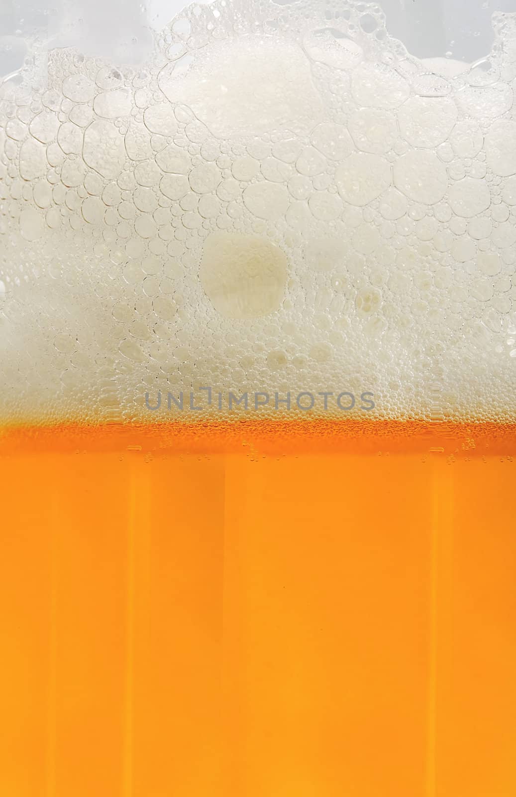 beer with froth background