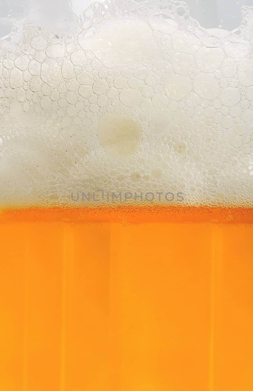 beer with froth background