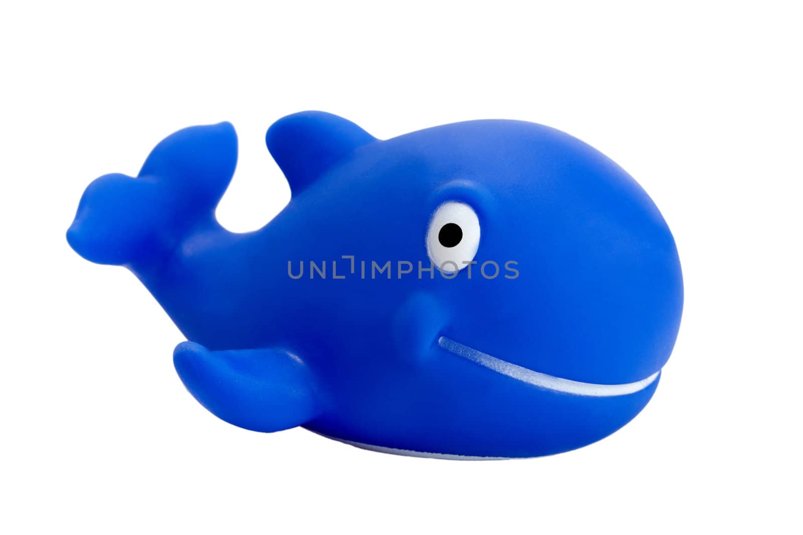 fish whale toy isolated on white background