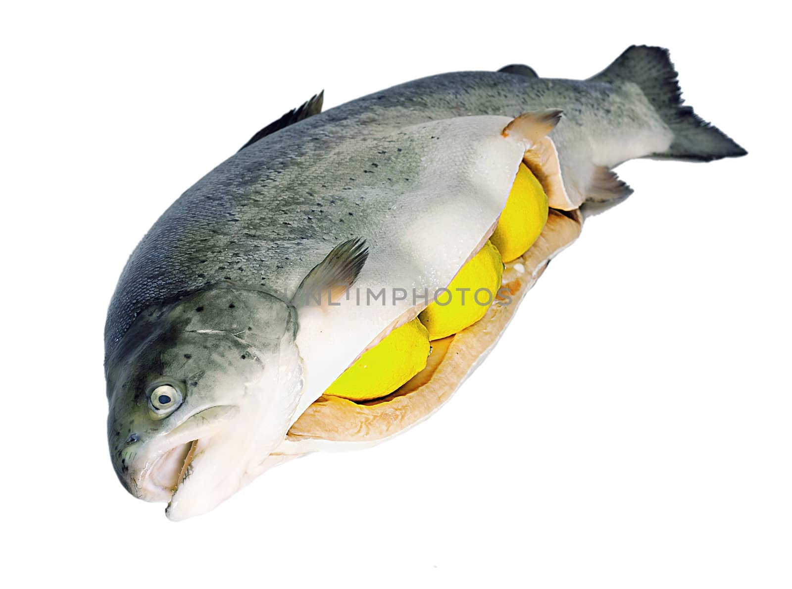 Prepared trout with lemon isolated on white background