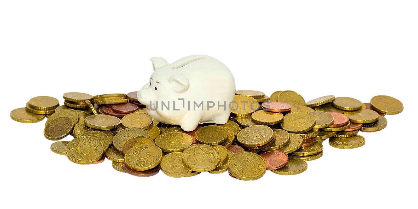 piggy bank in coin isolated on a white background
