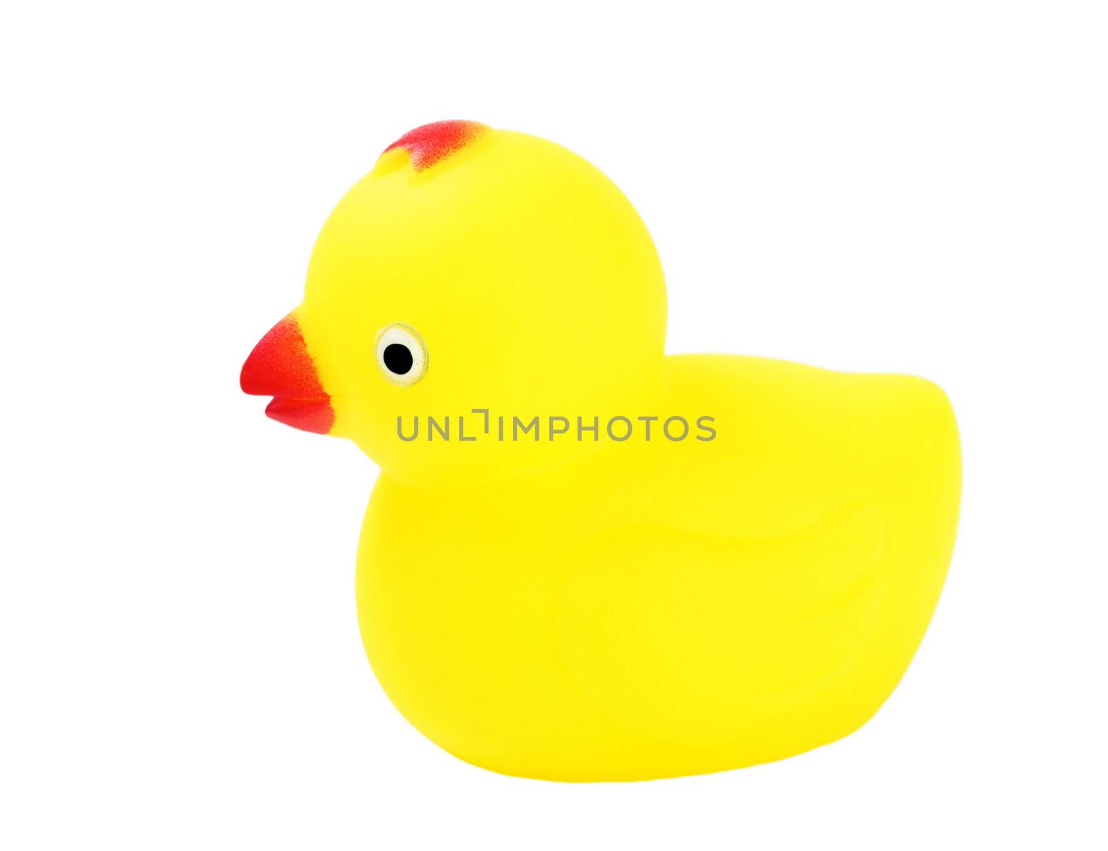 Toy duckling isolated on white background