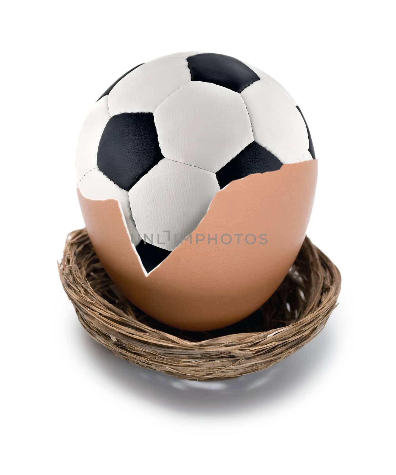 soccer ball on eggs in nest isolated on white