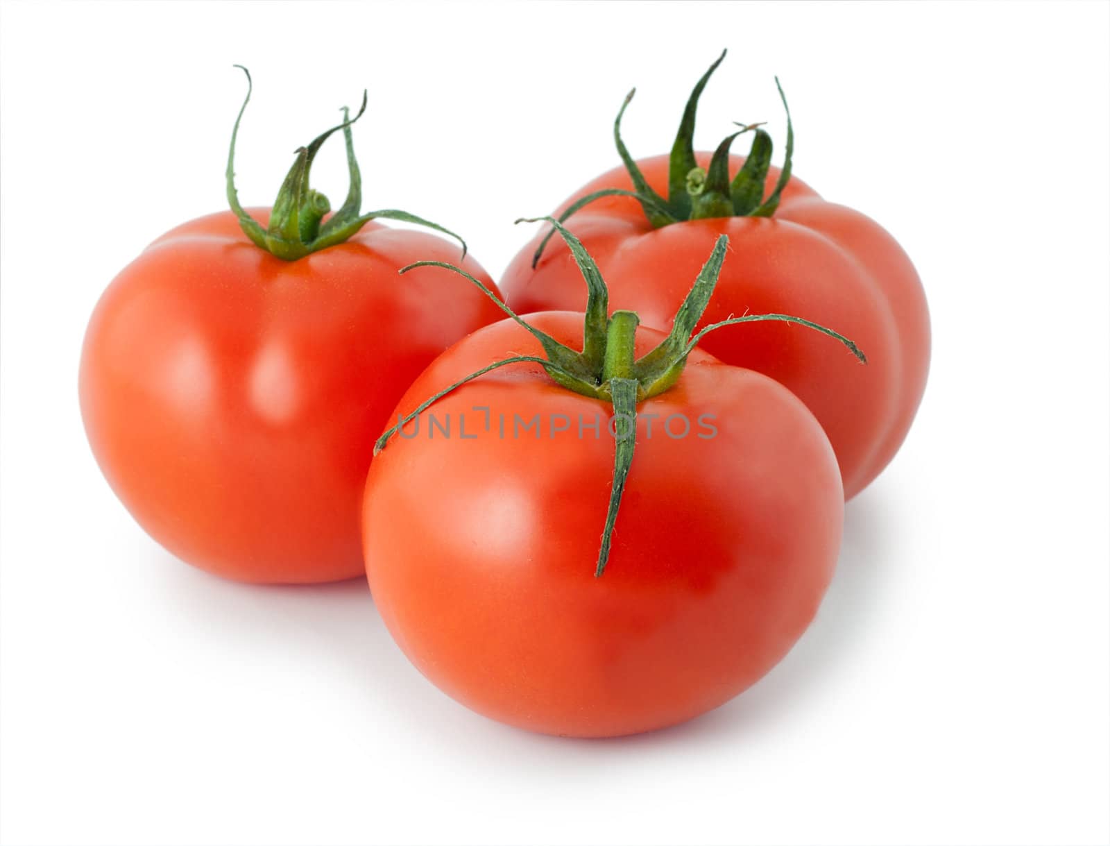 tomatoes isolated on white background