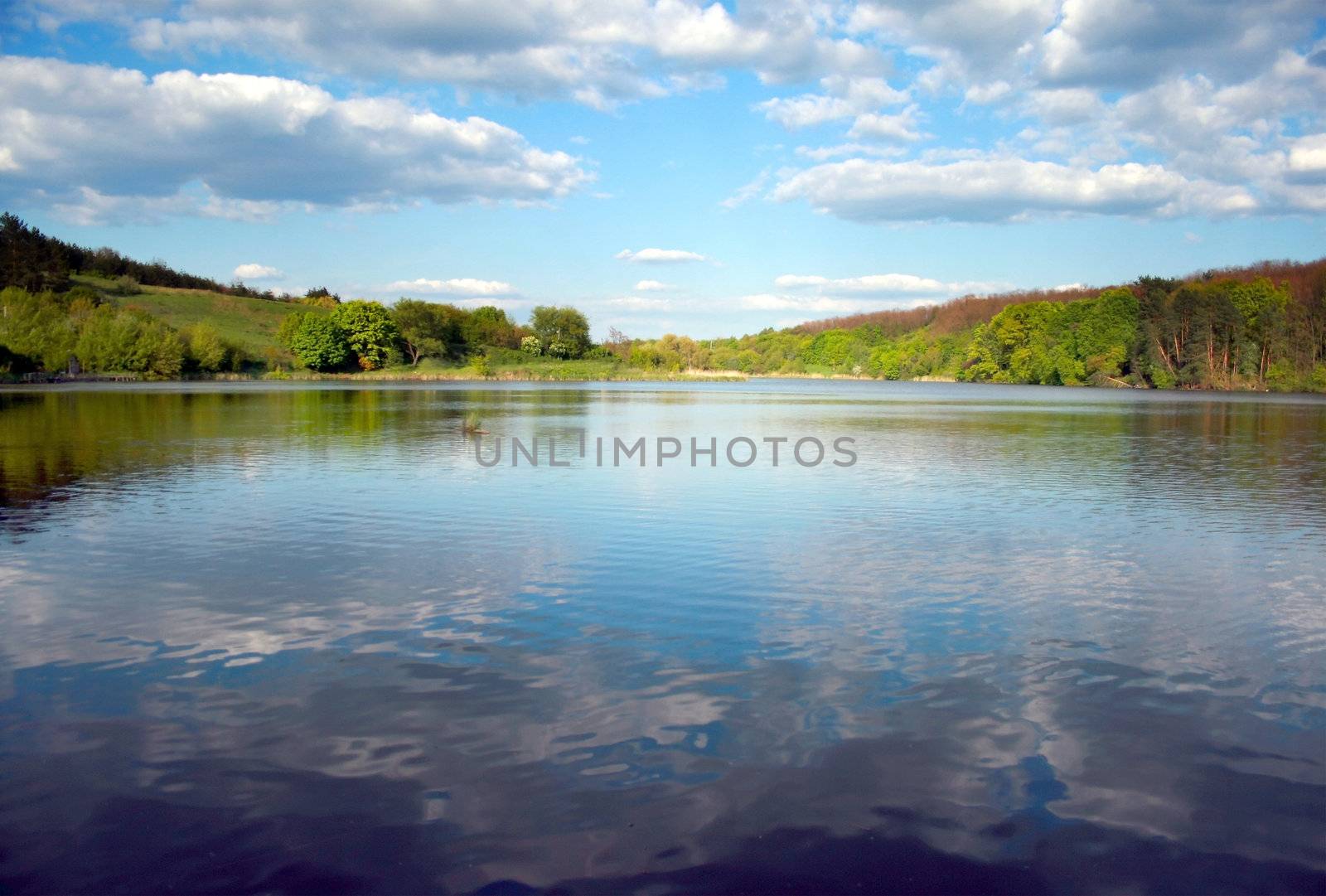 landscape in green valley with river