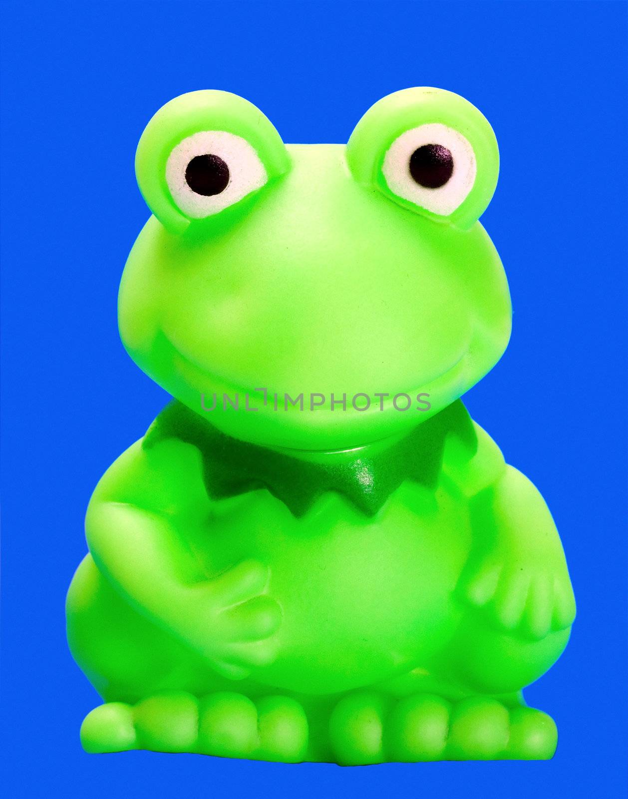 green frog rubber bath toys on blue background