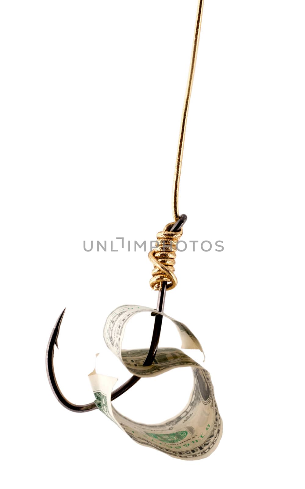 dollar USA on fishing hook isolated on white background.