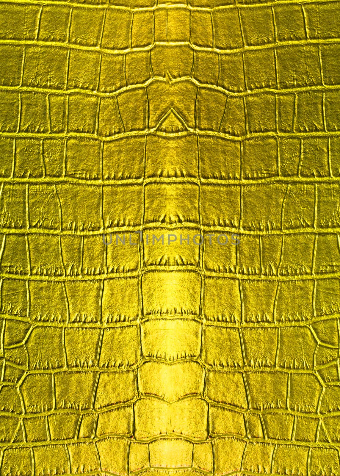 Skin golden leather texture surface background