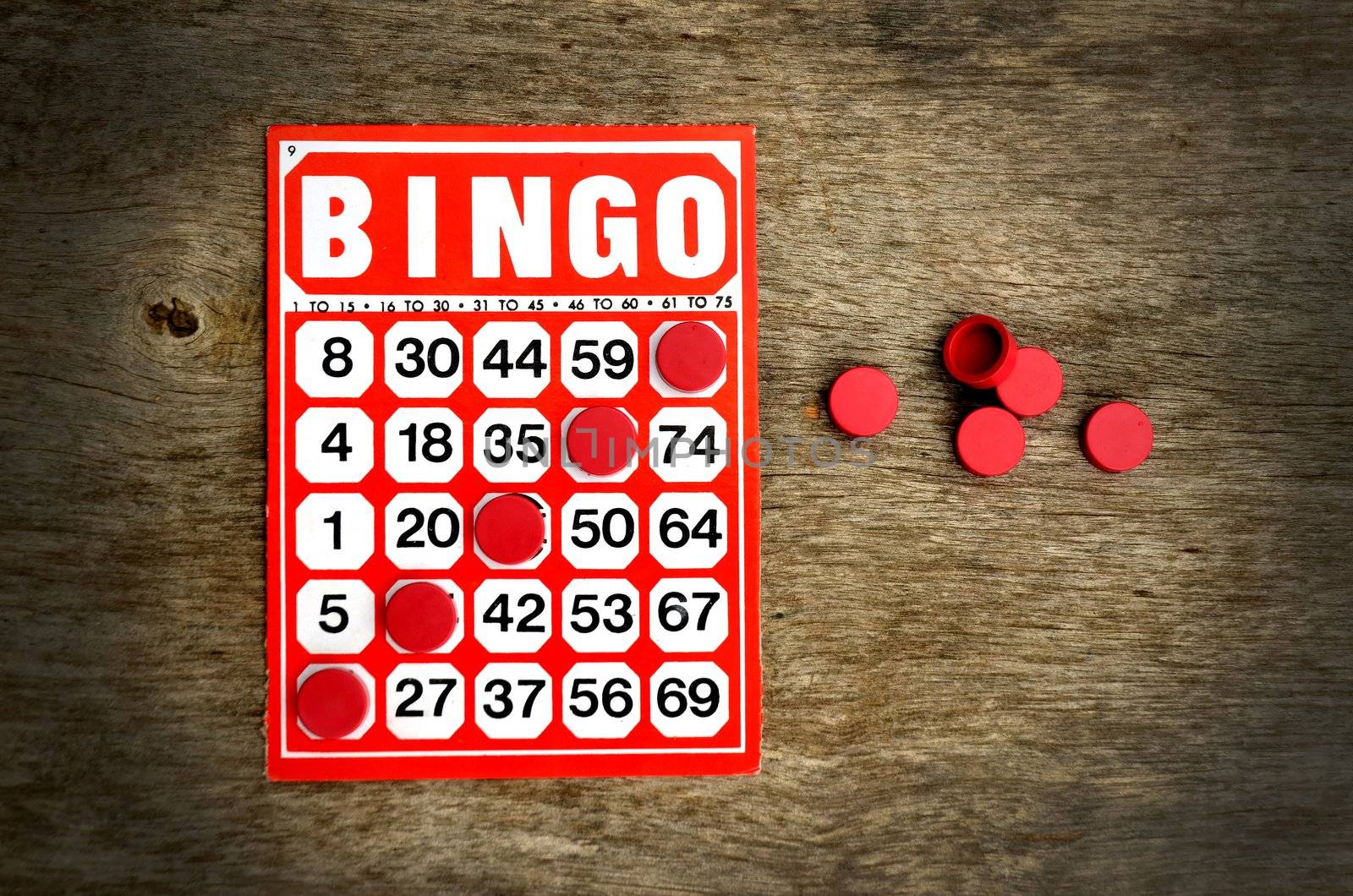 bingo by anankkml