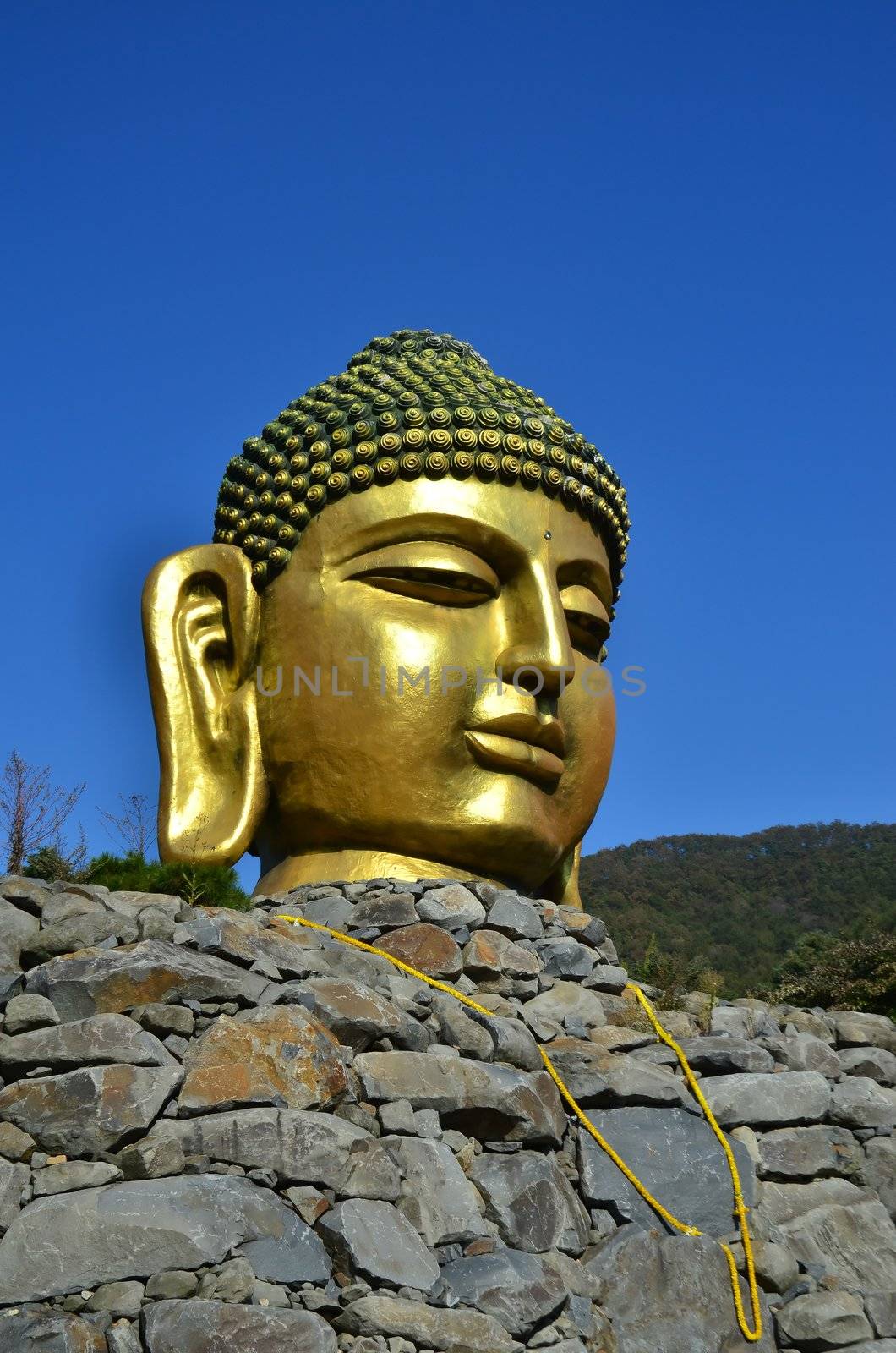 Giant statue of Buddha in wowoojongsa temple korea