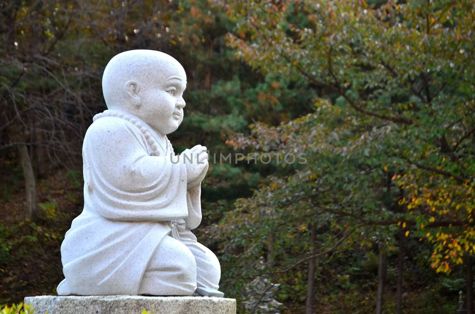 buddha statue in wowoojongsa temple korea