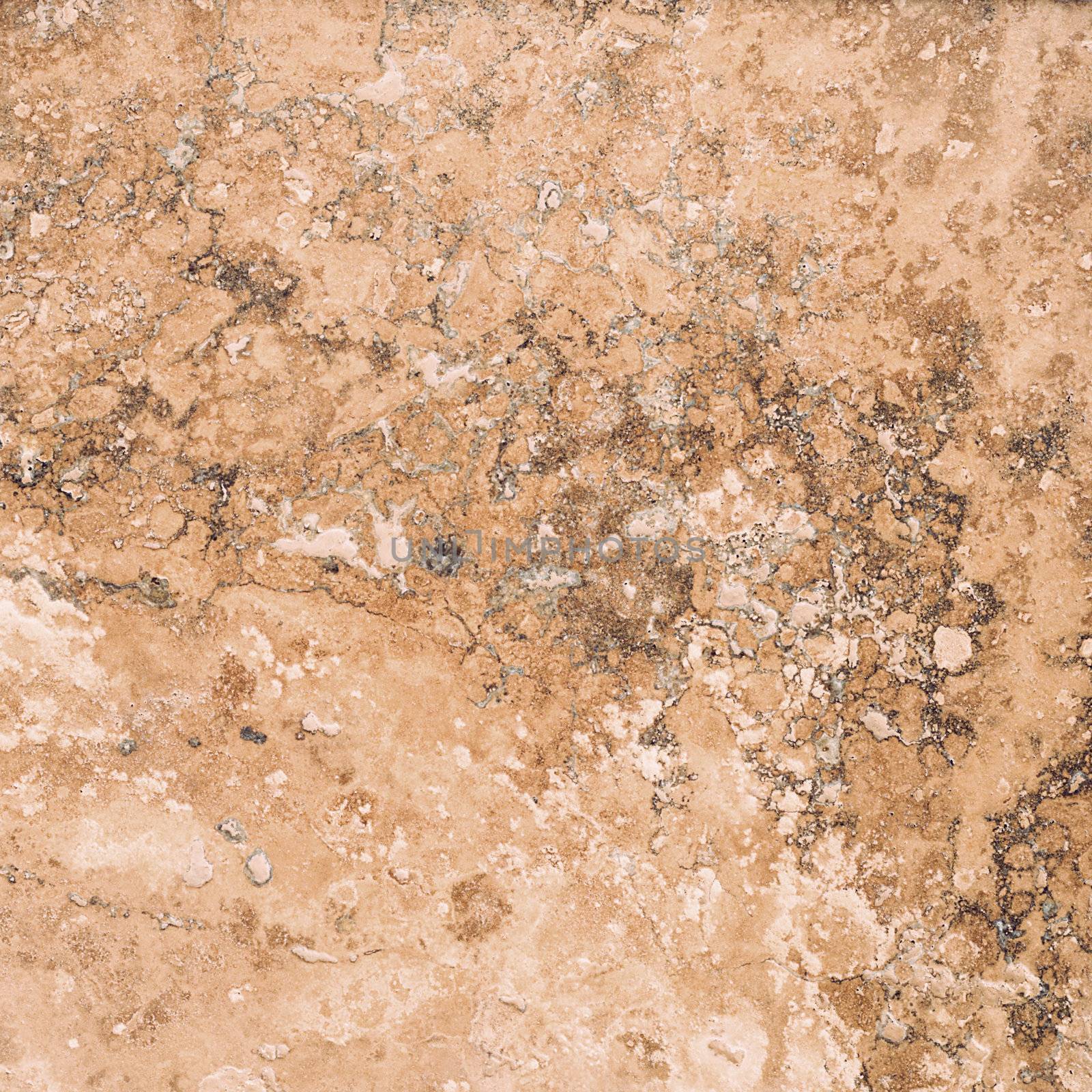 Detailed image of a Travertine Marble