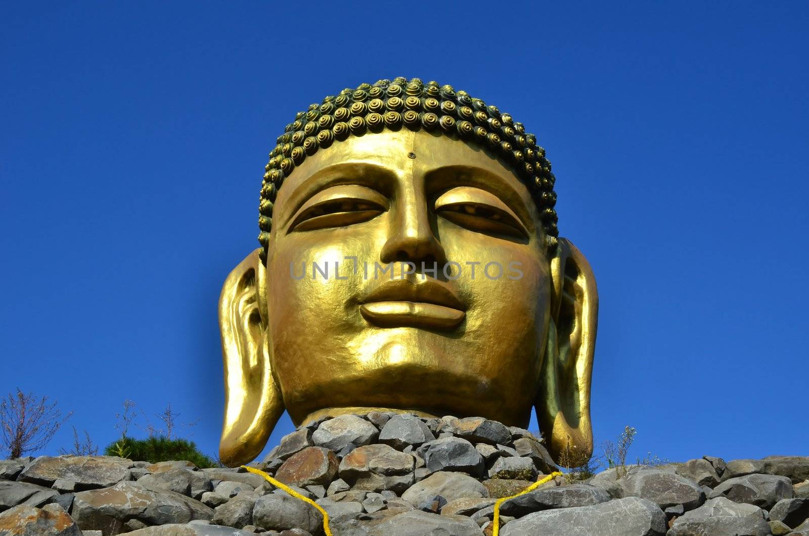 Giant statue of Buddha in wowoojongsa temple korea