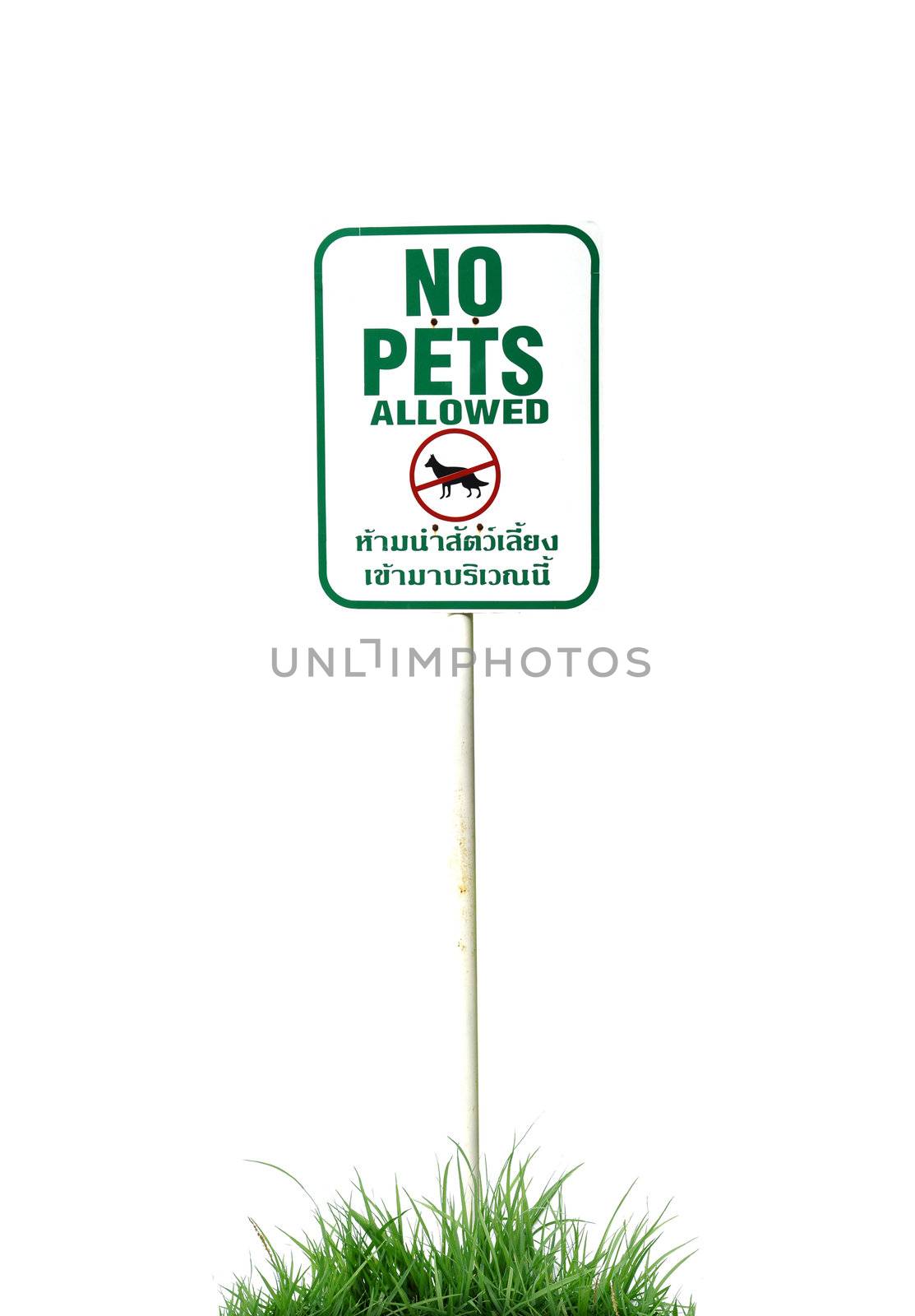 no pets allowed sign isolated