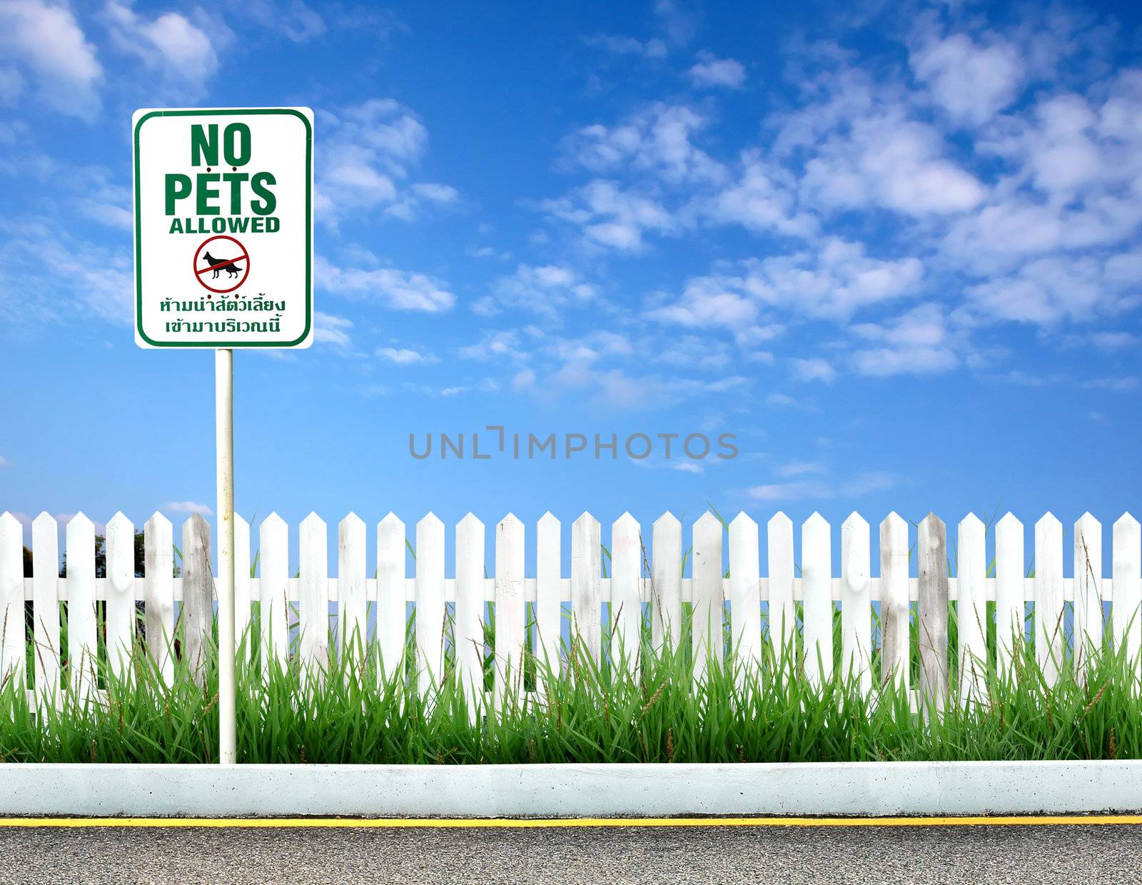 no pets allowed sign  by anankkml