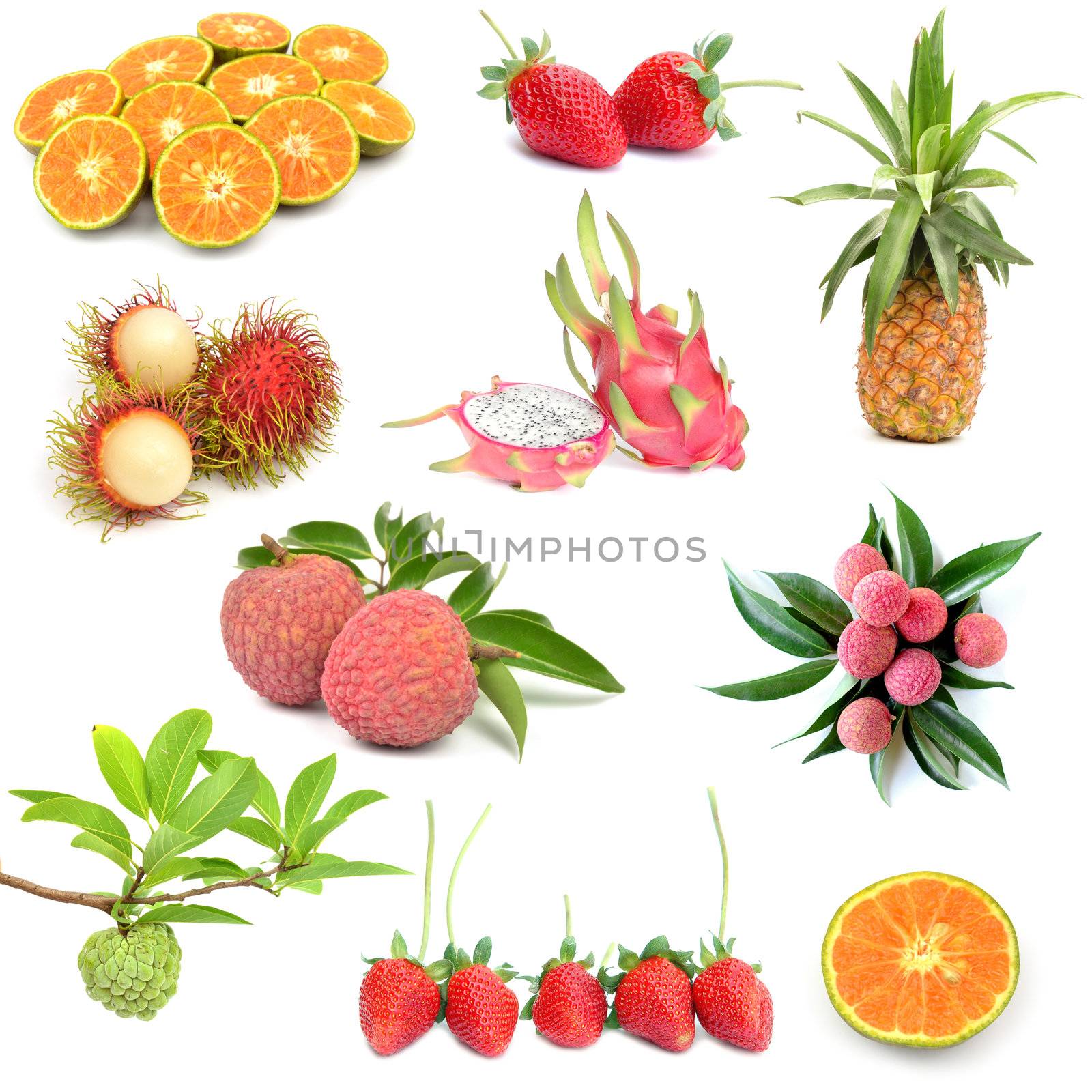 fruit collection isolated on white background