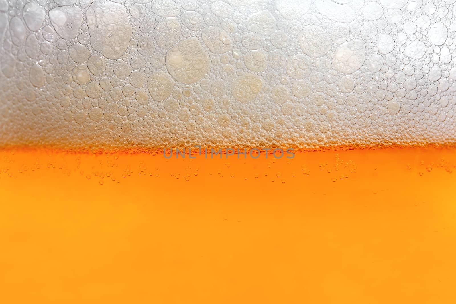 Beer background