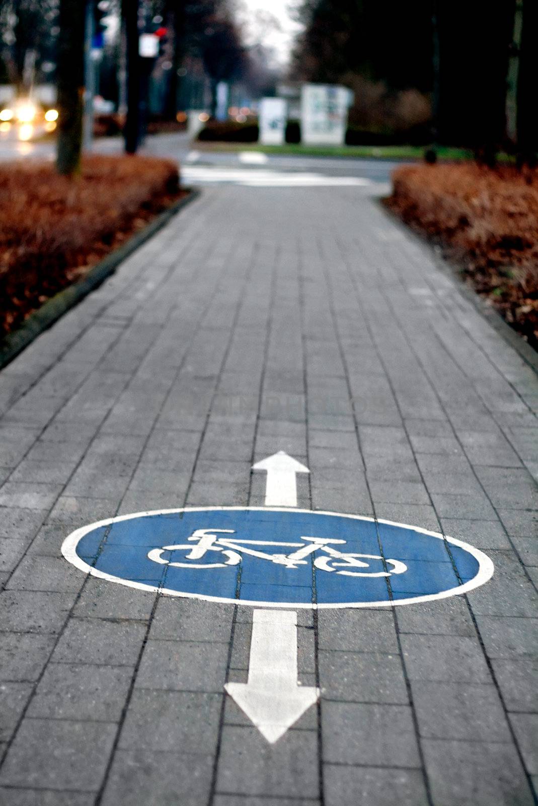 painted sign for bikes, scenic cycle track