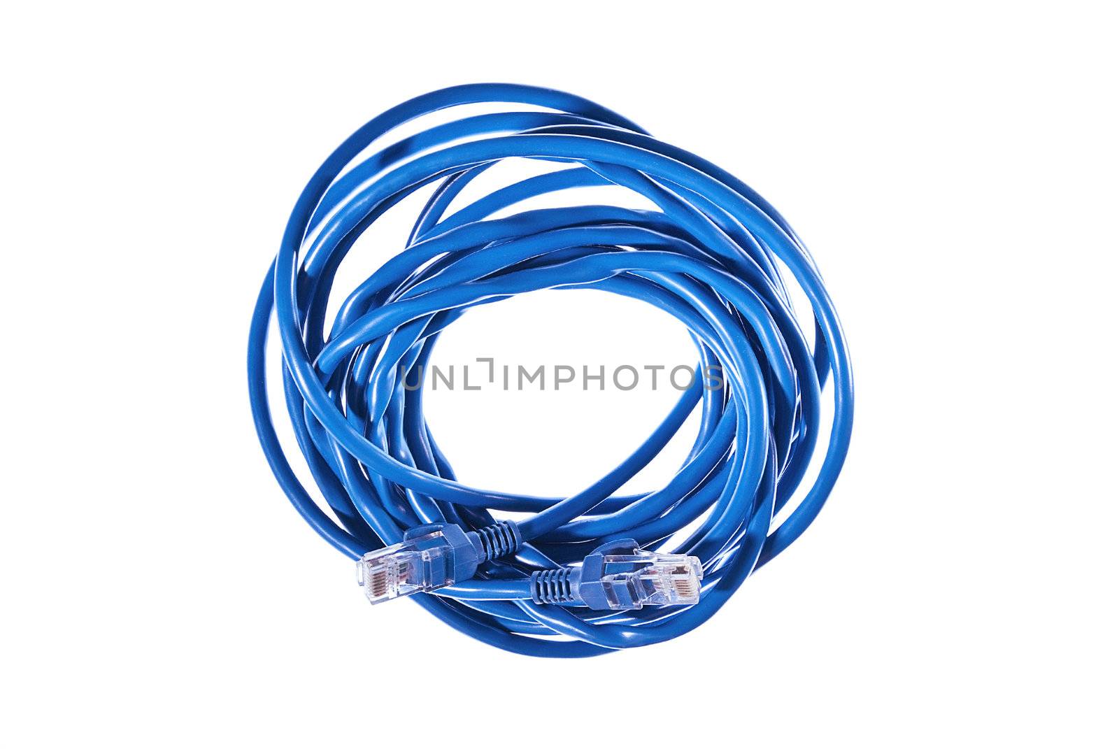 Closeup of blue internet cable on the white background.