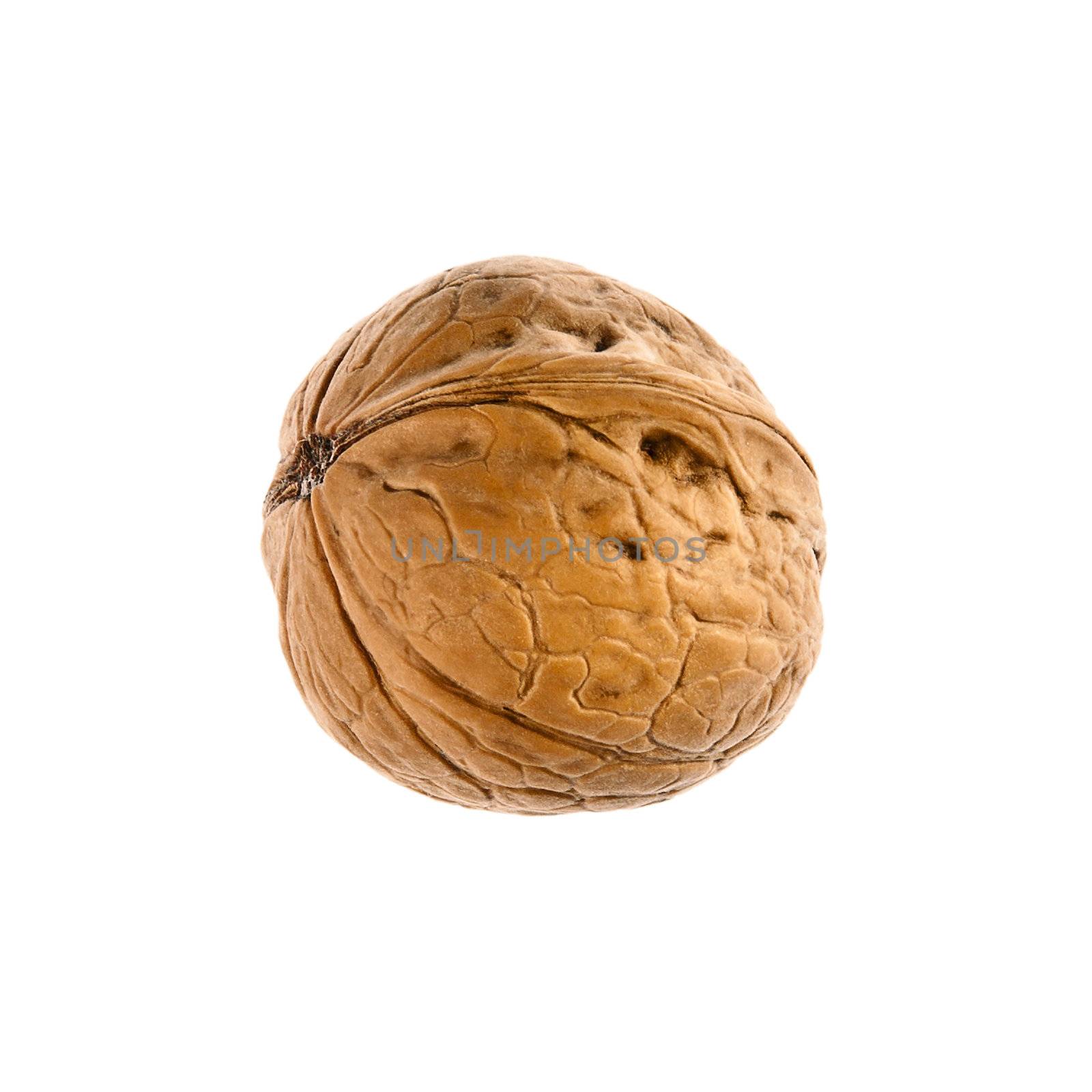 One closed walnut isolated on a white background.