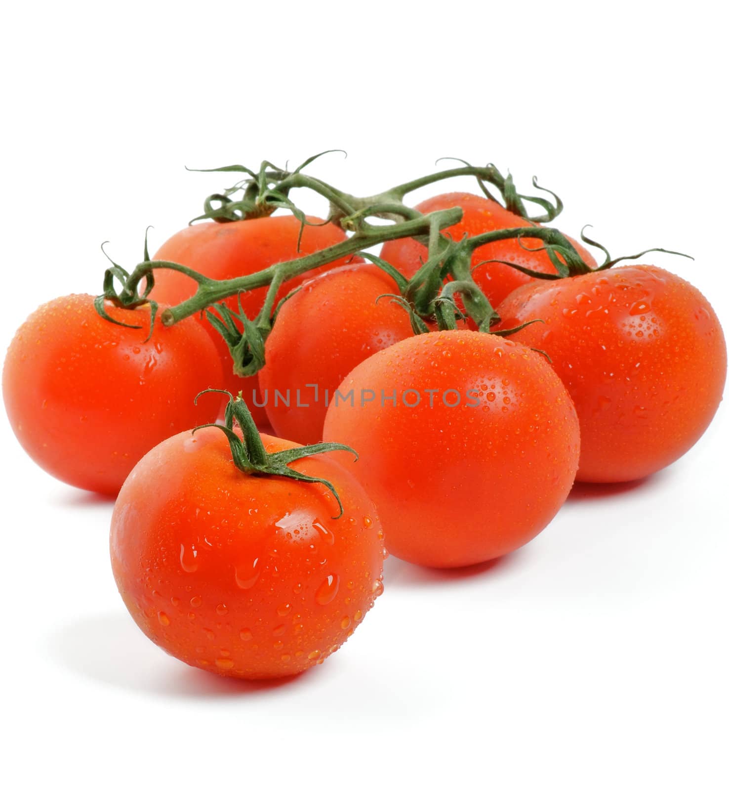 Tomatoes on twigs with droplets isolated on white background