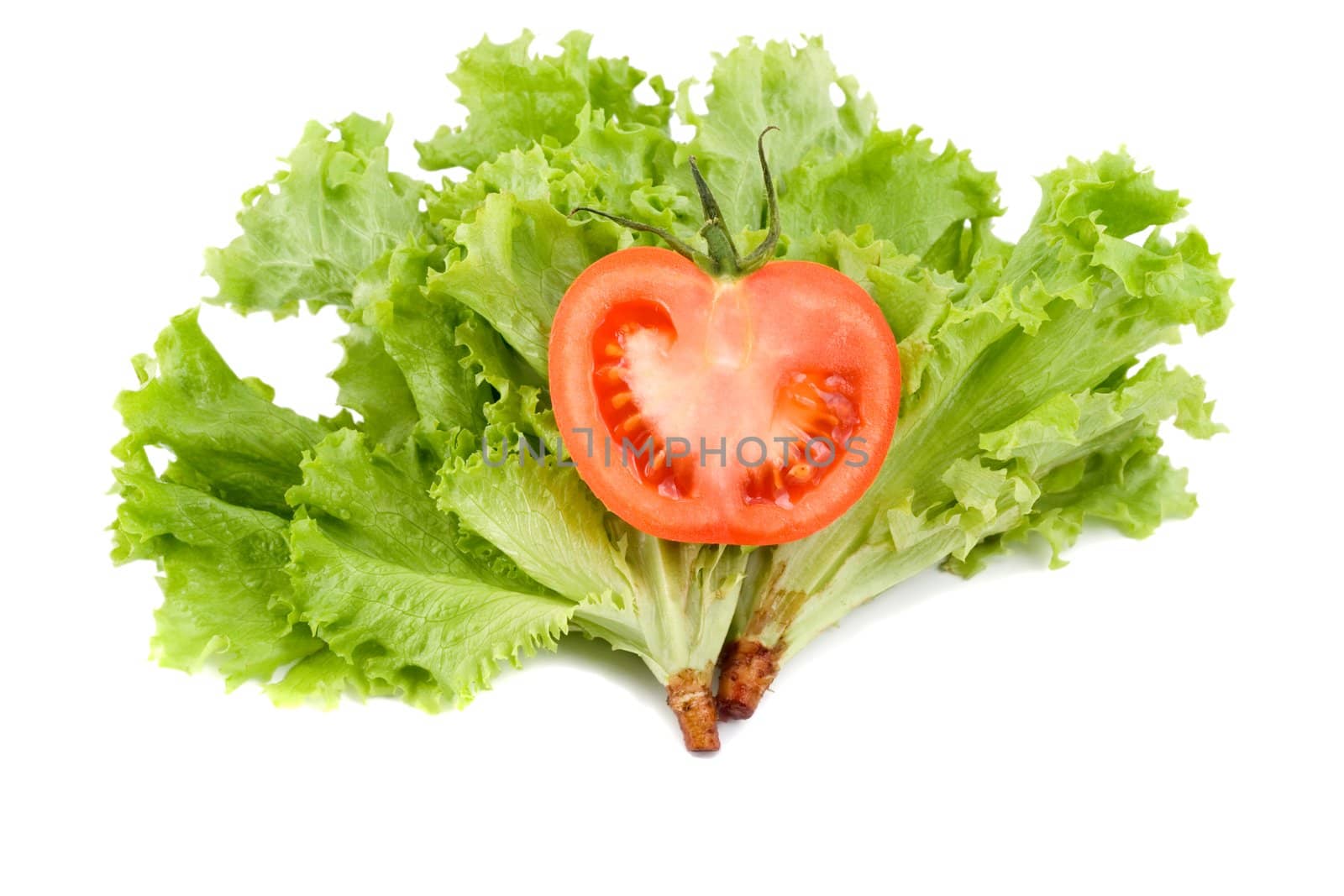 tomato in leaf salad , isolated on white background