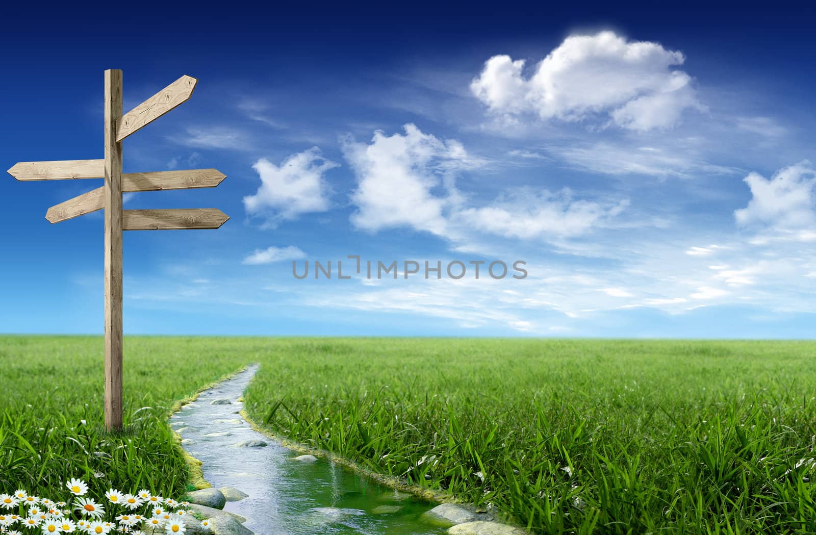 Landscape: grassland with stream and direction arrow with blue sky and clouds in the background